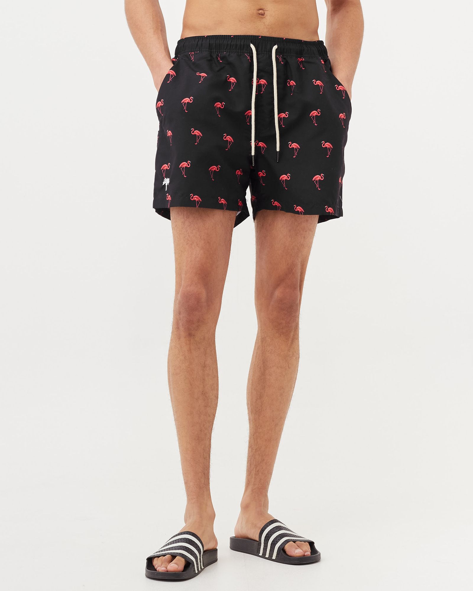 Black Flamingo Swim Shorts