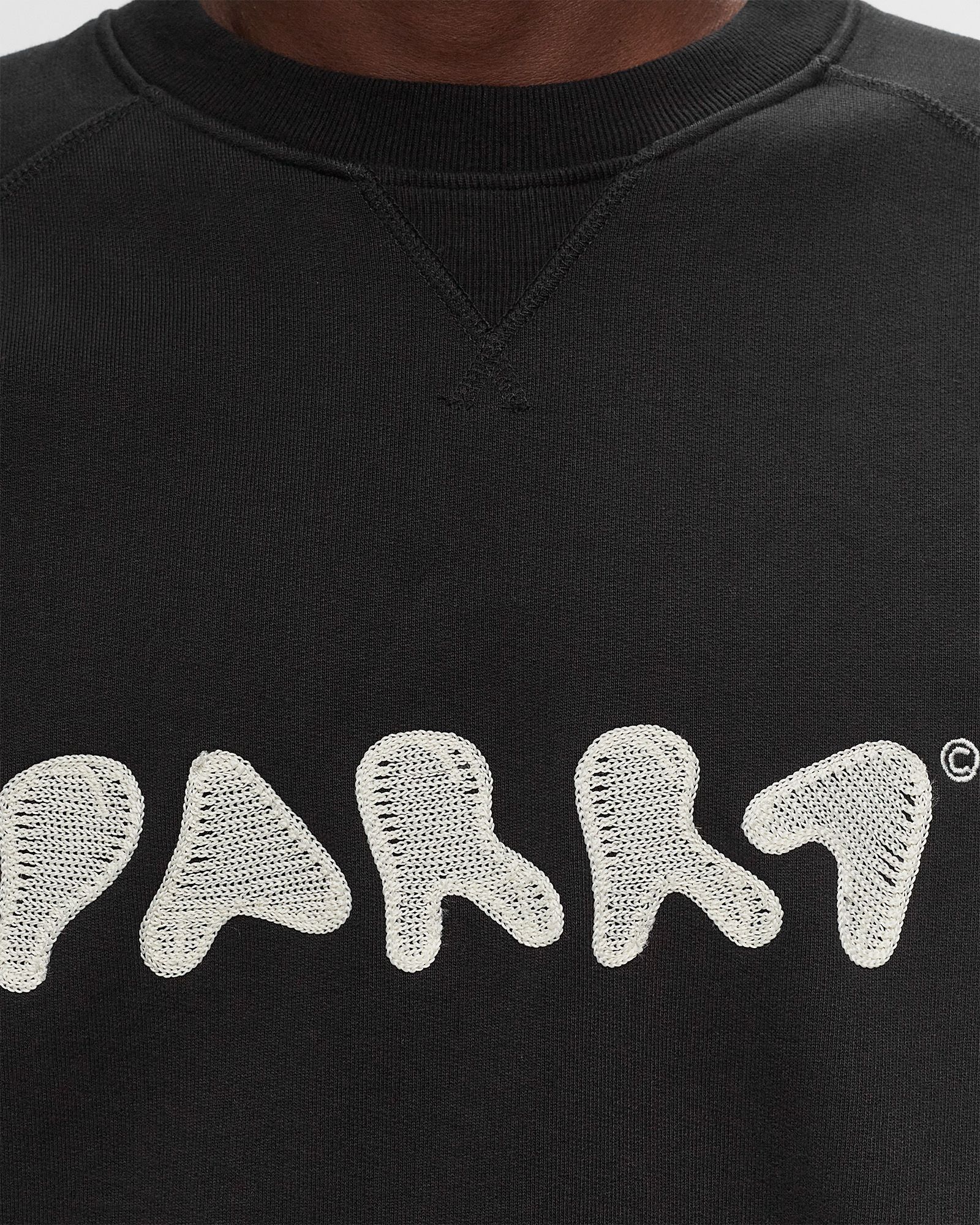 blob logo crew neck sweatshirt