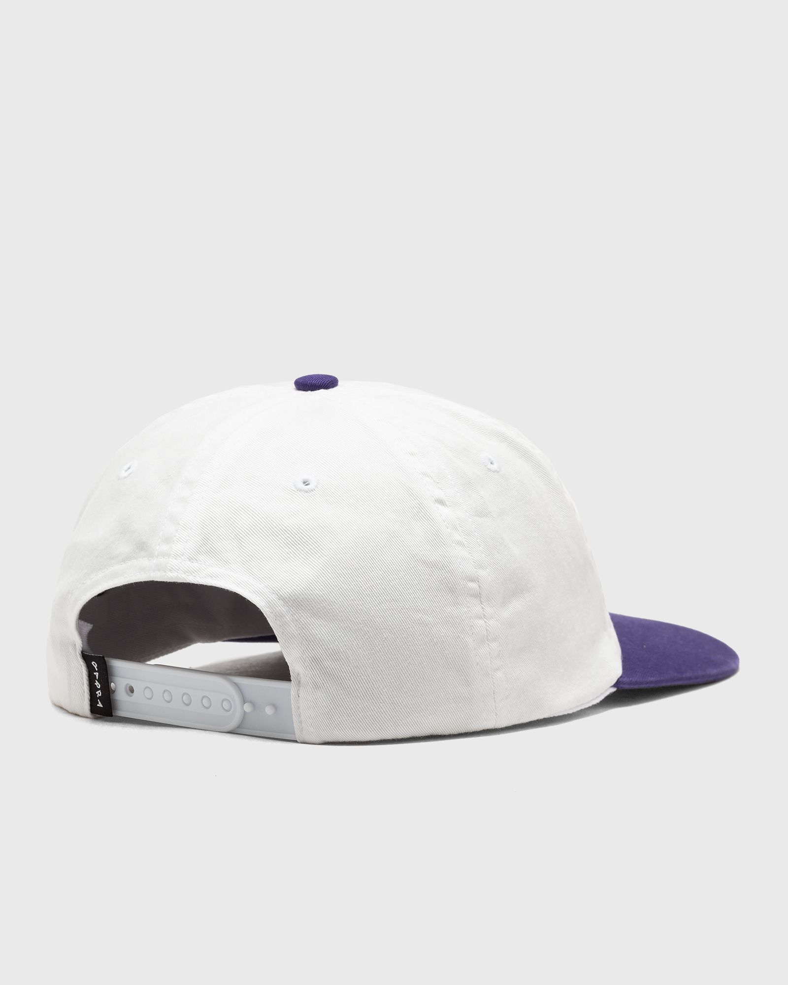 Repeat pea 6 panel hat