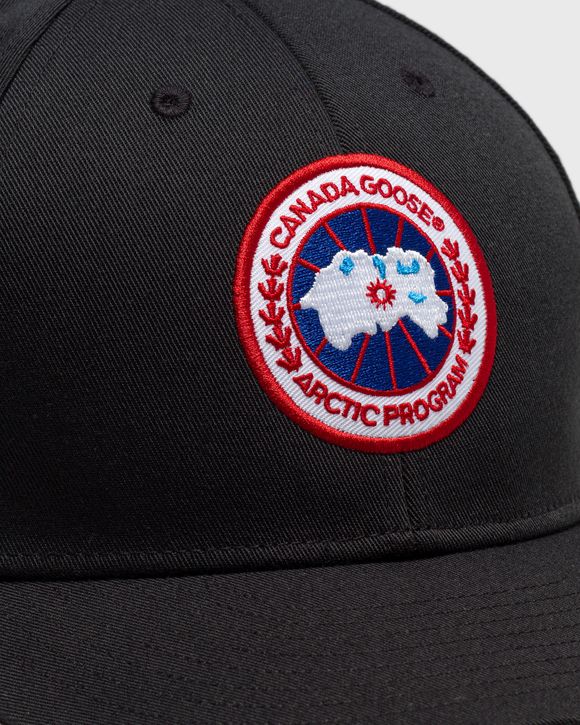Arctic Adjustable Cap