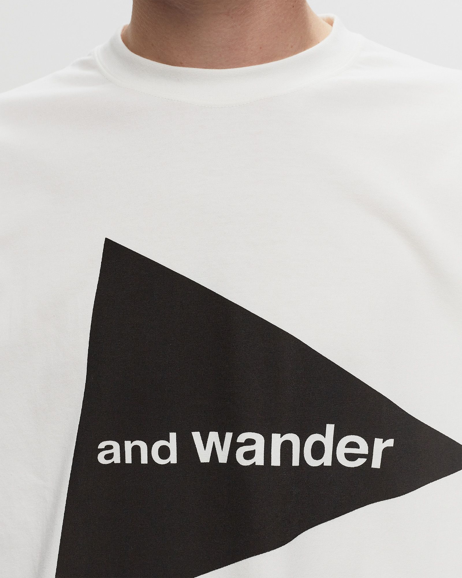 and wander logo LS T
