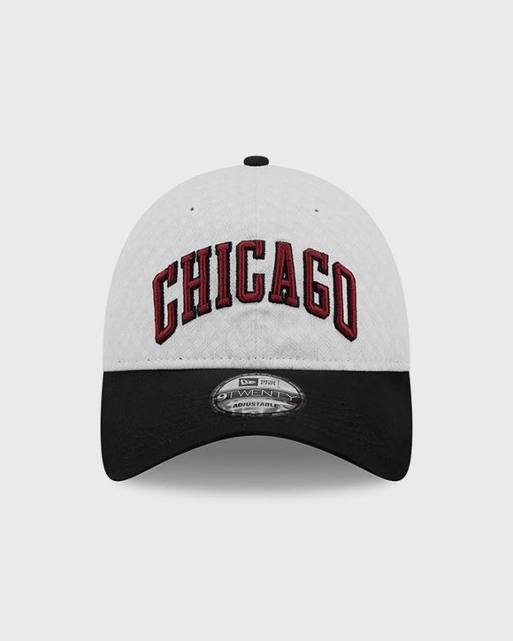 920 NBACE 22 CHICAGO BULLS  OTC