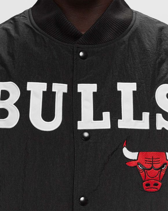 NBA PANEL BOMBER CHICAGO BULLS