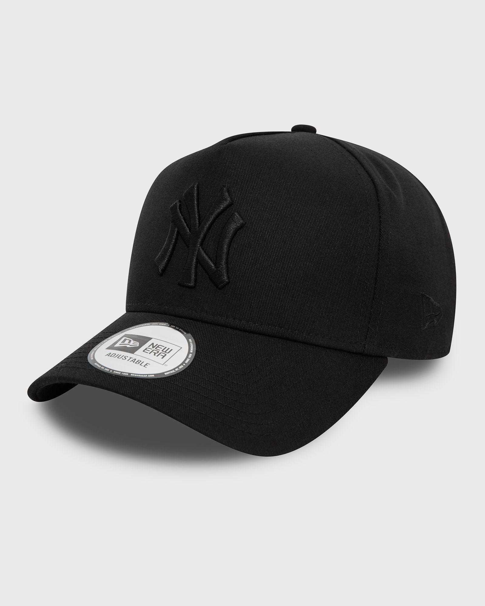 MONOCHROME EFRAME NEW YORK YANKEES