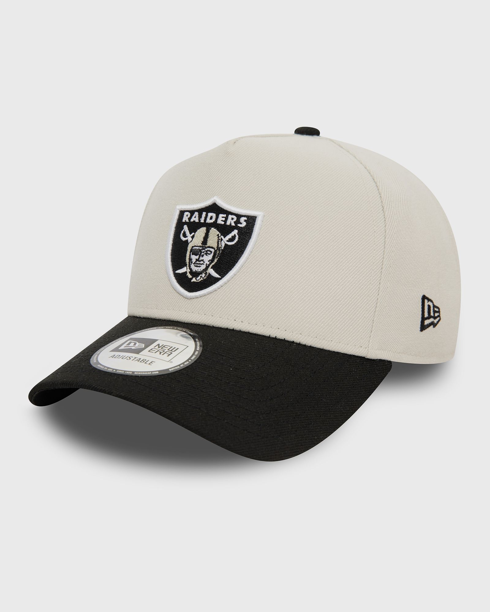 NFL EFRAME LAS VEGAS RAIDERS