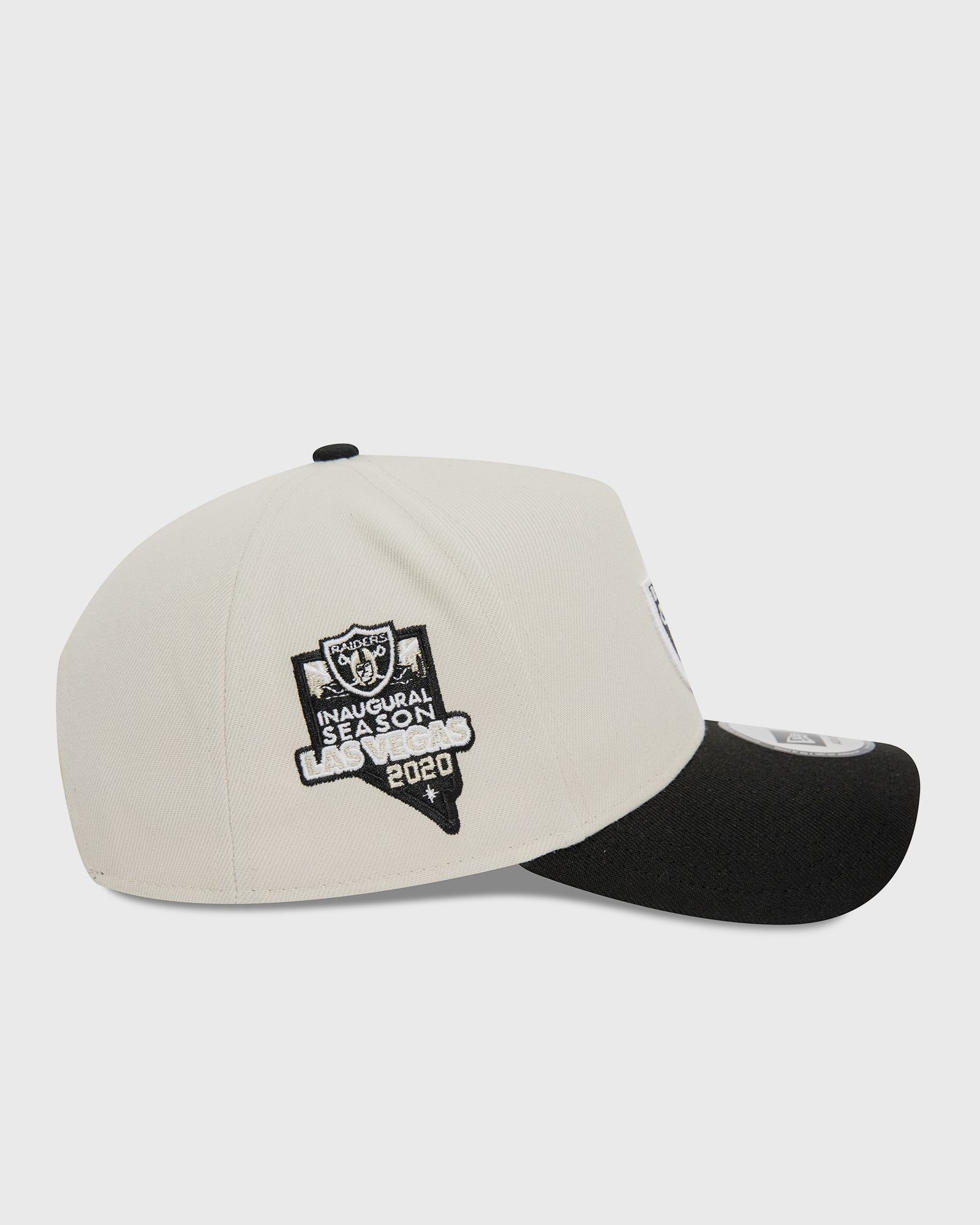 NFL EFRAME LAS VEGAS RAIDERS