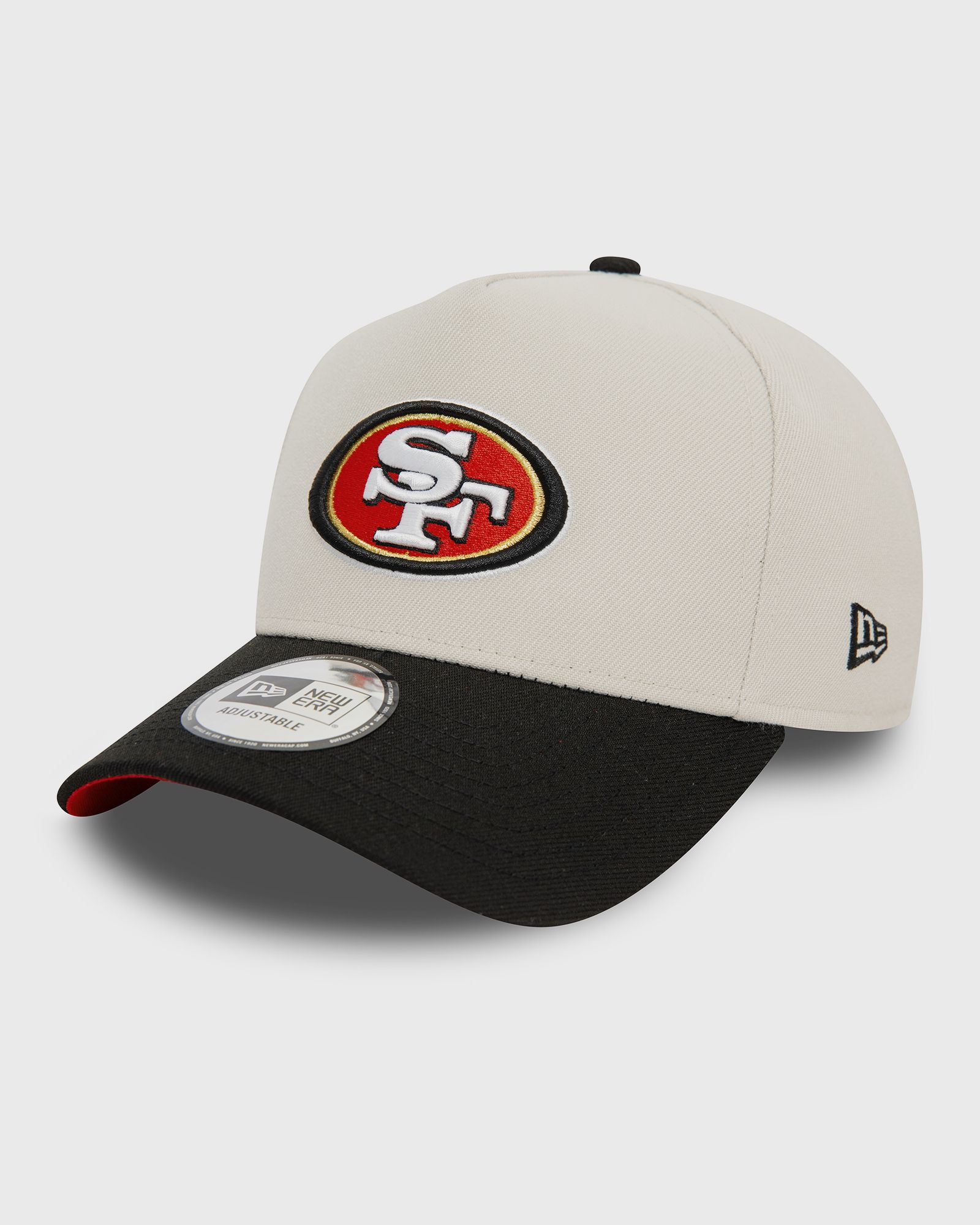 NFL EFRAME SAN FRANCISCO 49ERS