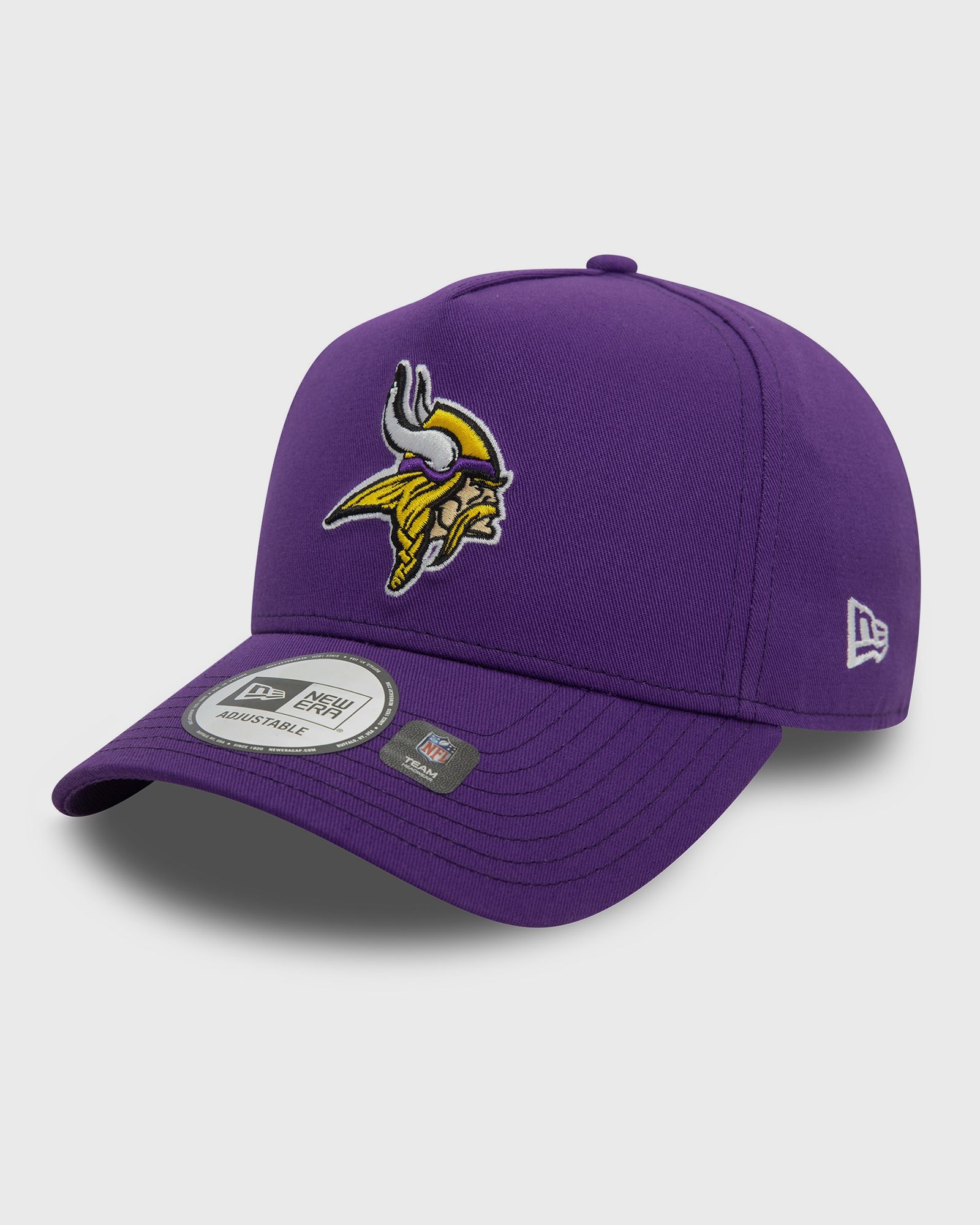 OTC NFL EFRAME MINNESOTA VIKINGS OTC