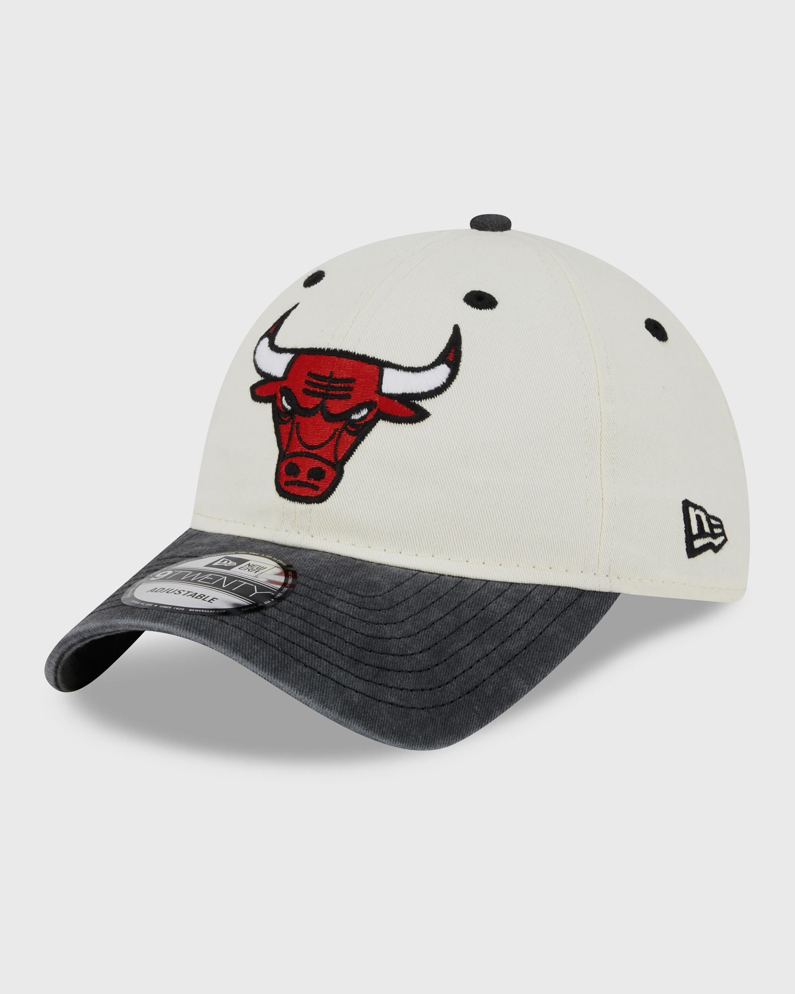 CLASSIC SIDESCRIPT CHICAGO BULLS