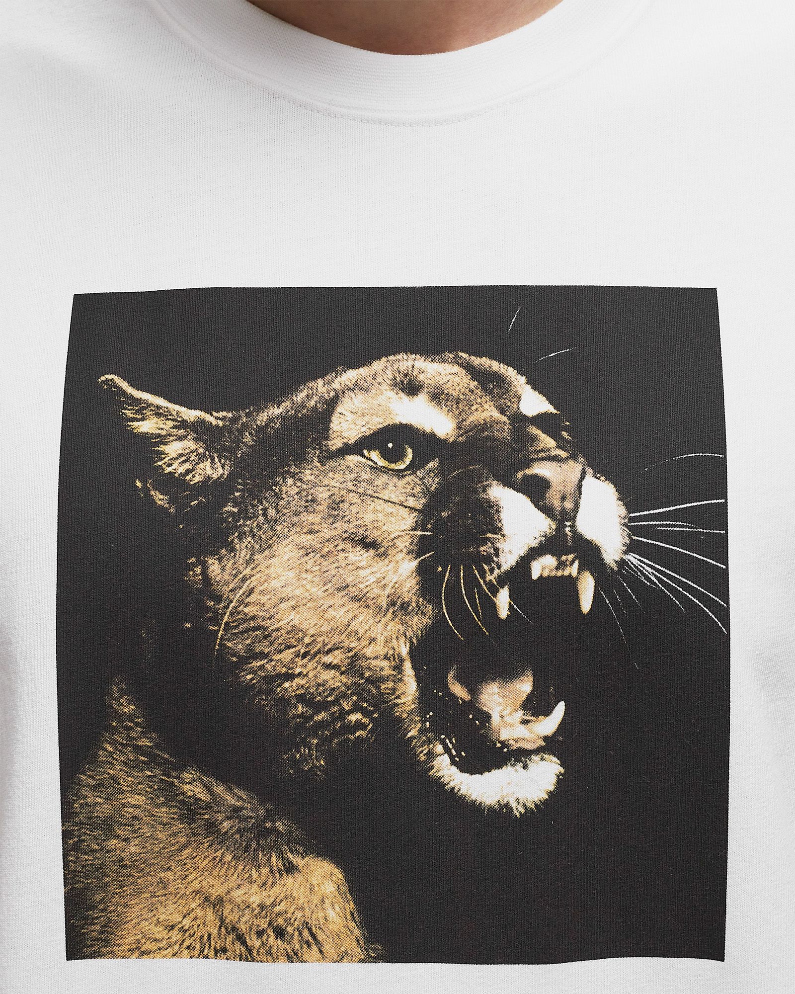 x NOAH Photo Graphic Tee