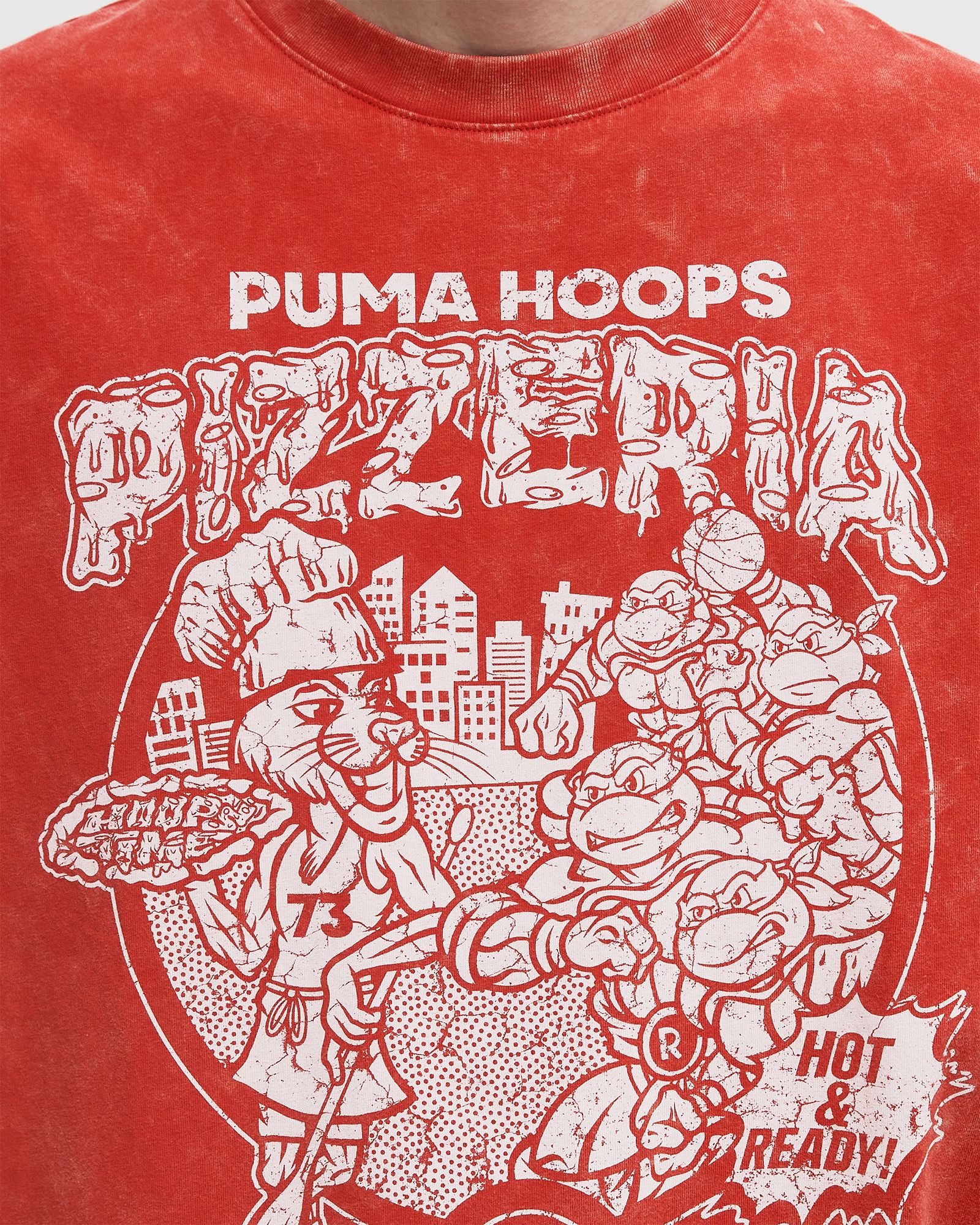 Hoops x TMNT Tee I