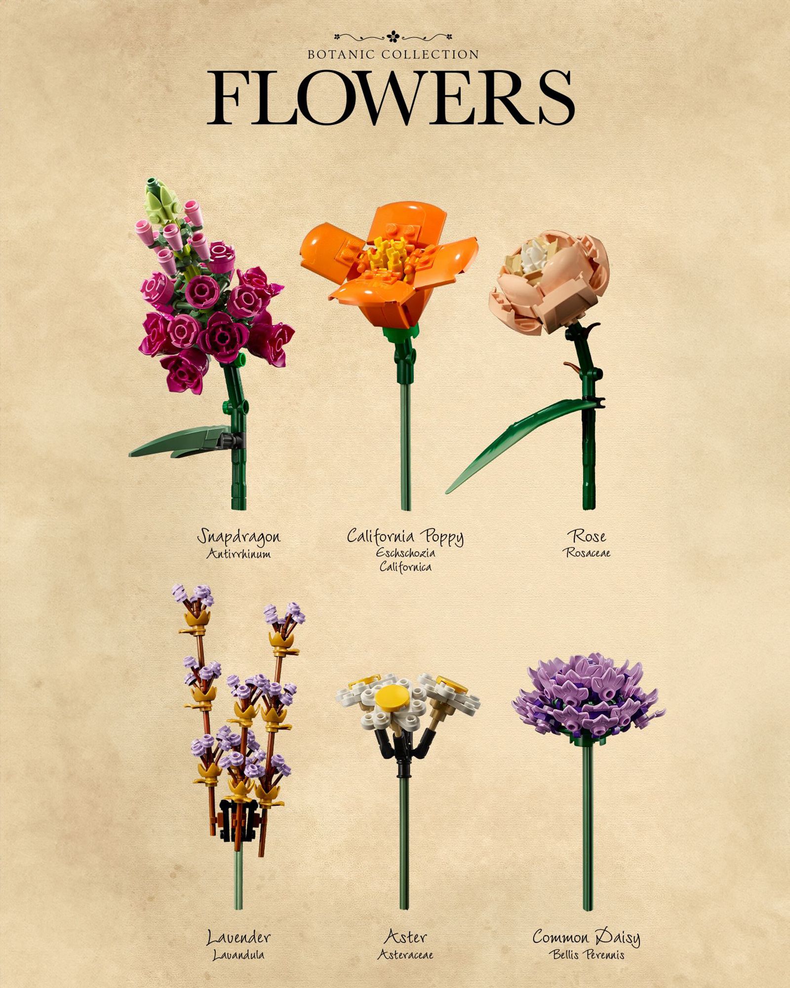 Blumenstrauß - 10280