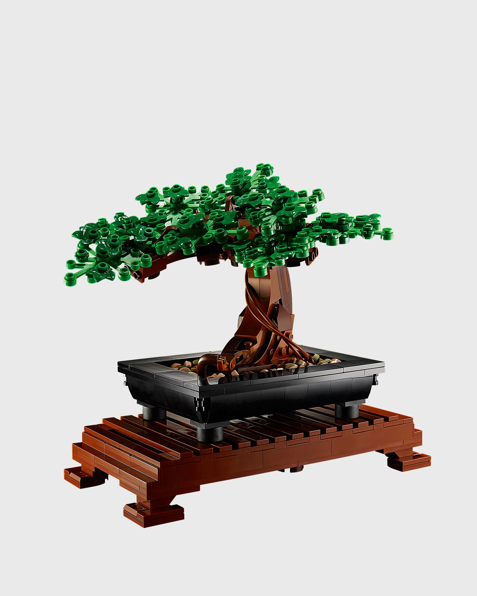 Bonsai Baum - 10281