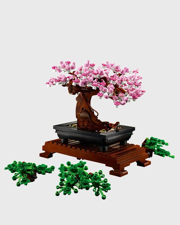 Bonsai Tree - 10281