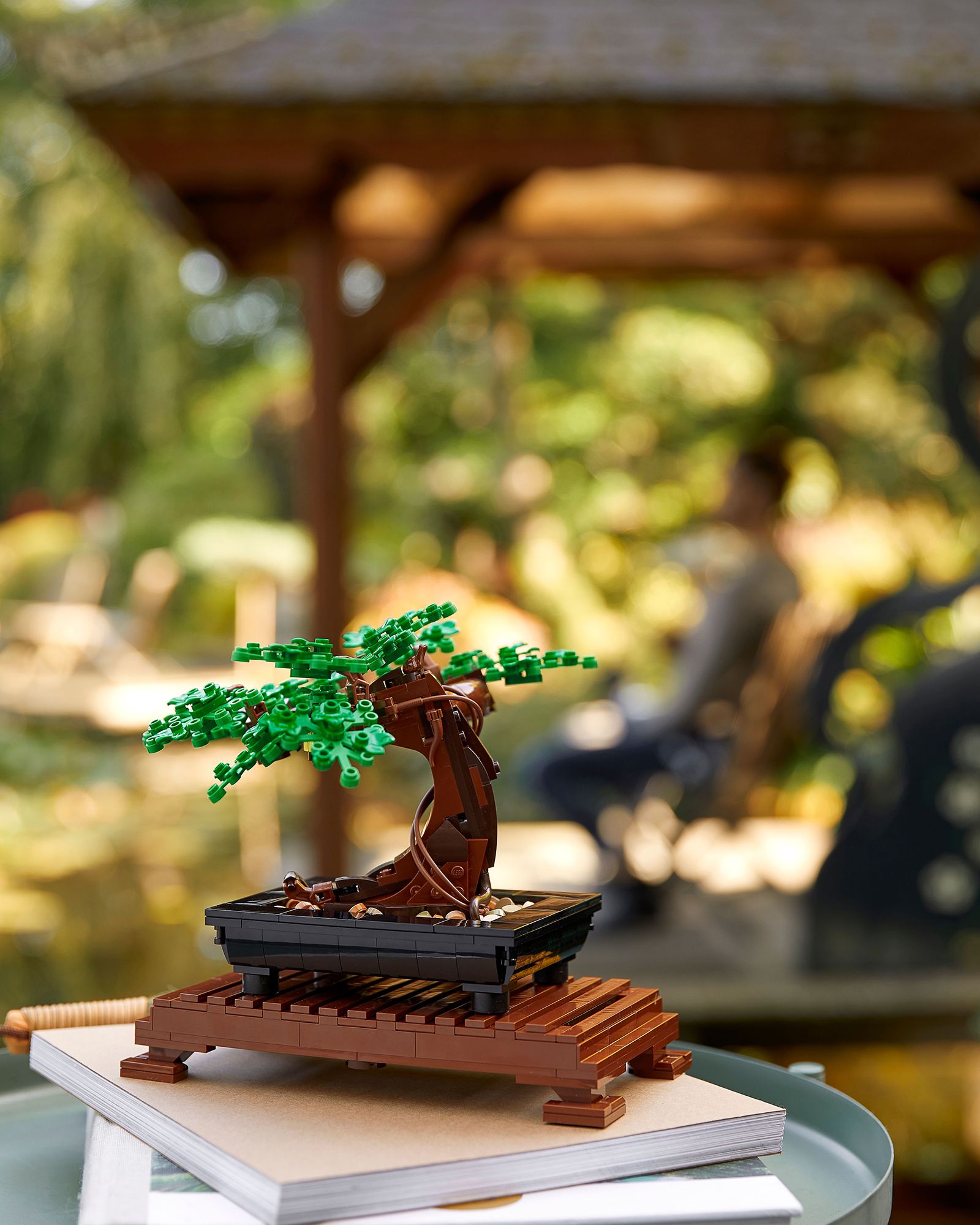 Bonsai Baum - 10281