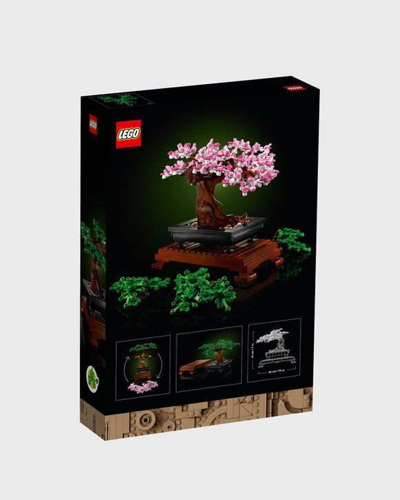 Bonsai Tree - 10281
