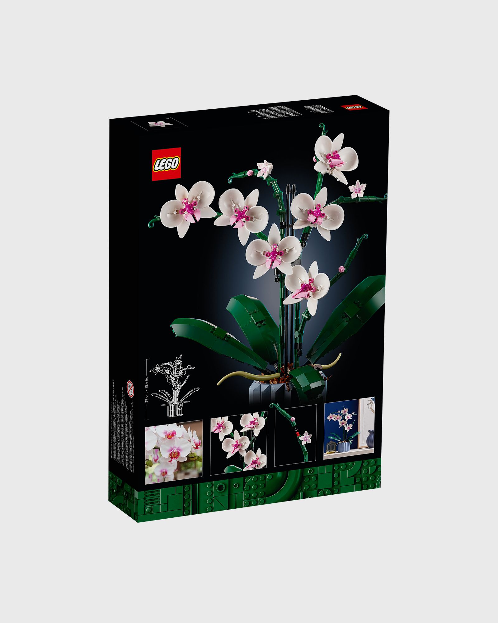 Orchidee - 10311