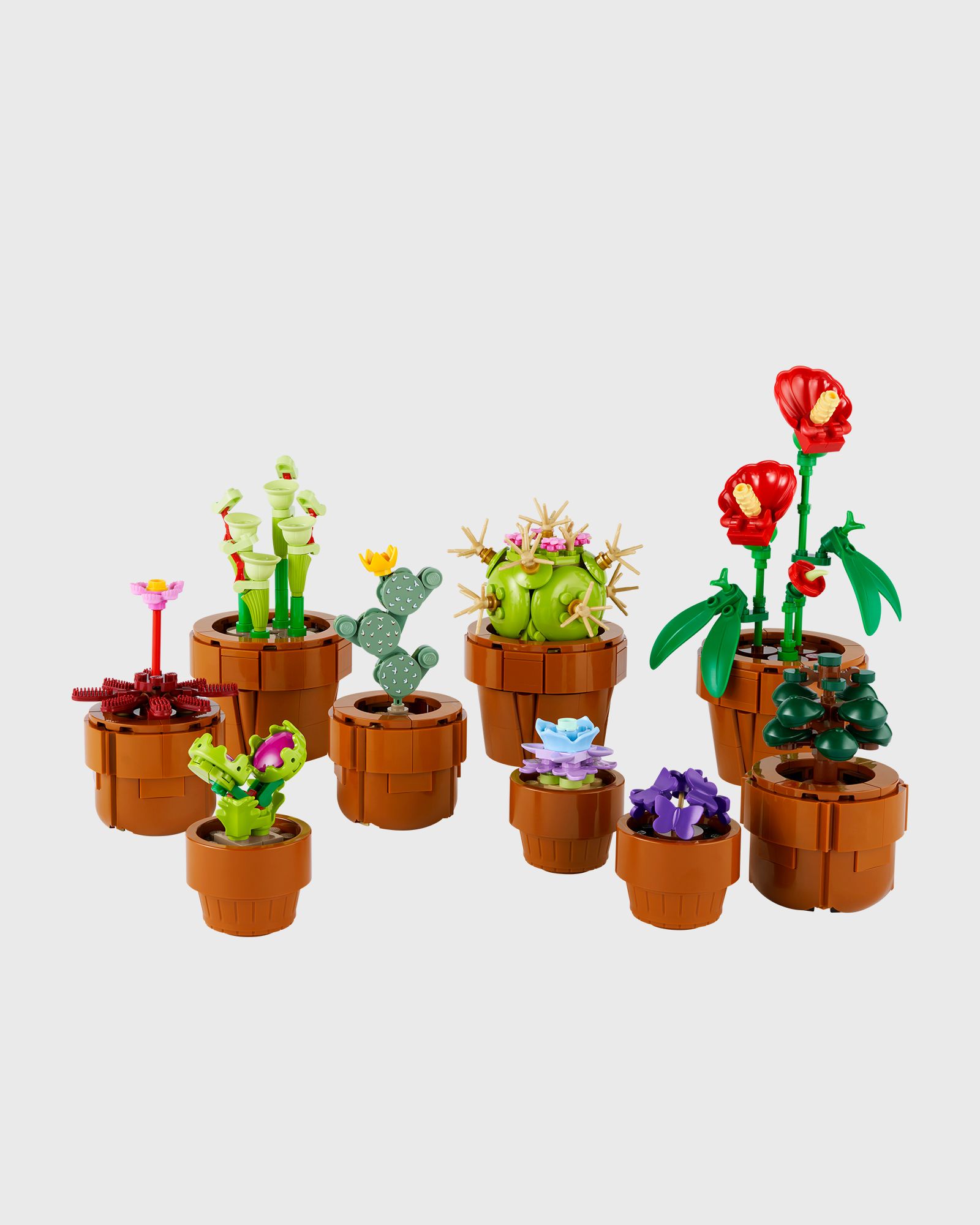 Mini Pflanzen - 10329