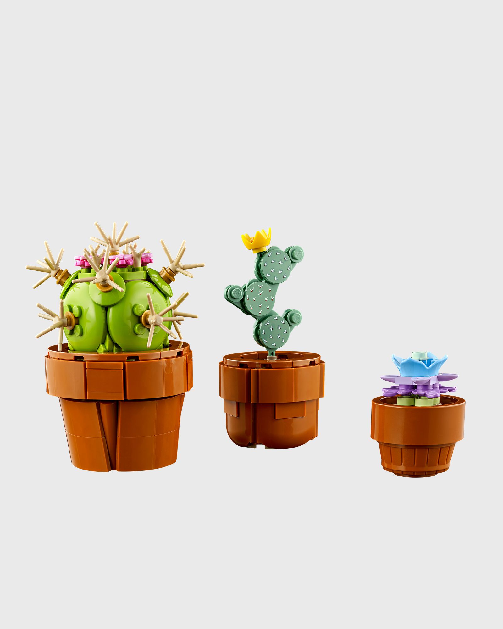 Mini Pflanzen - 10329