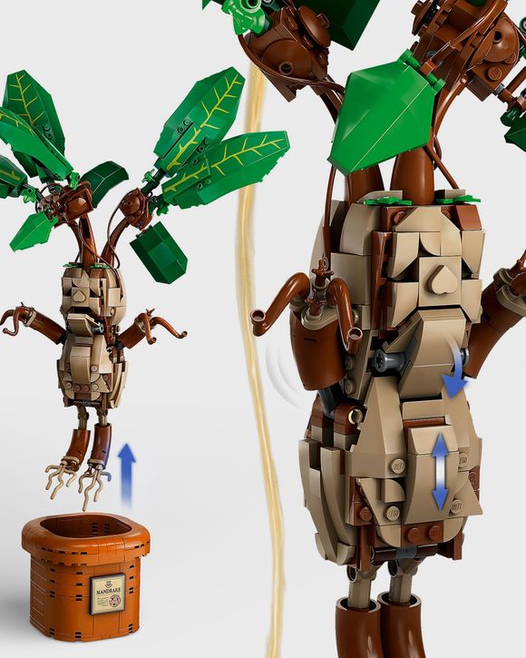 Mandrake