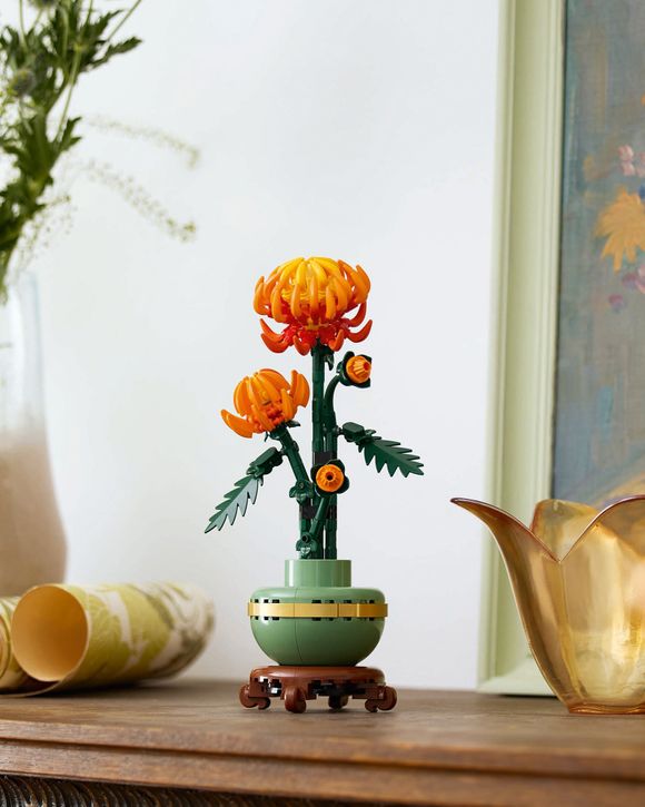 Chrysanthemum - 10368