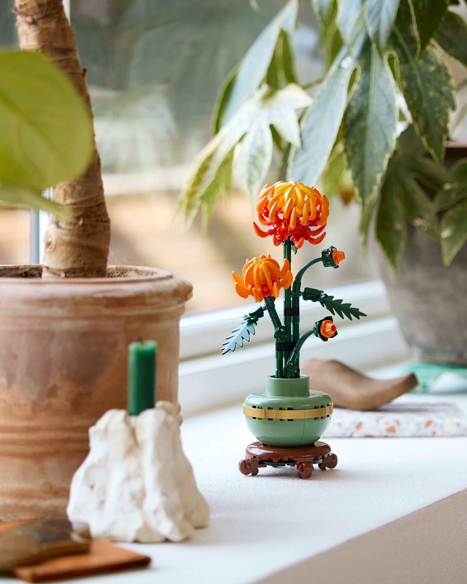 Chrysantheme - 10368