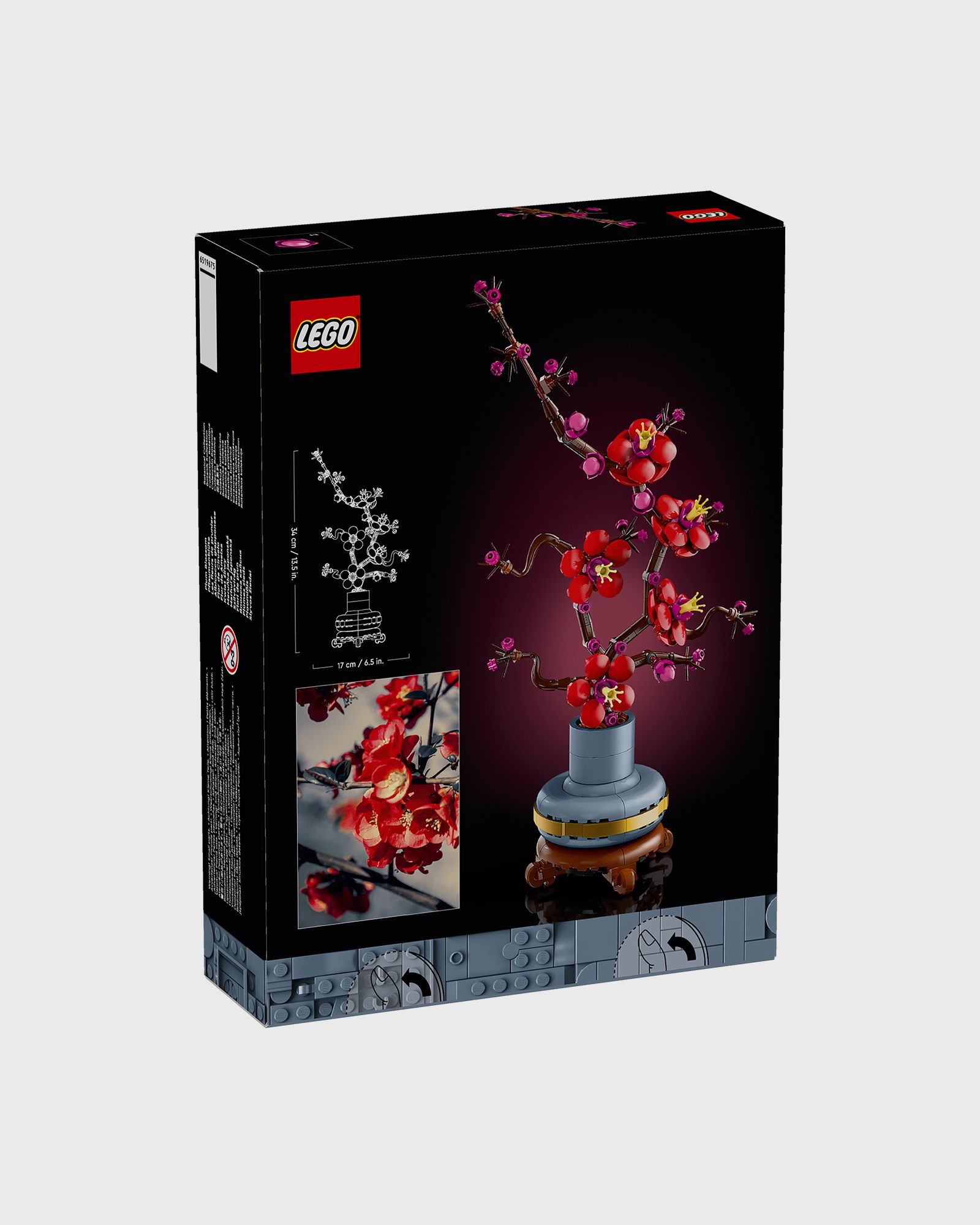 Pflaumenblüte - 10369