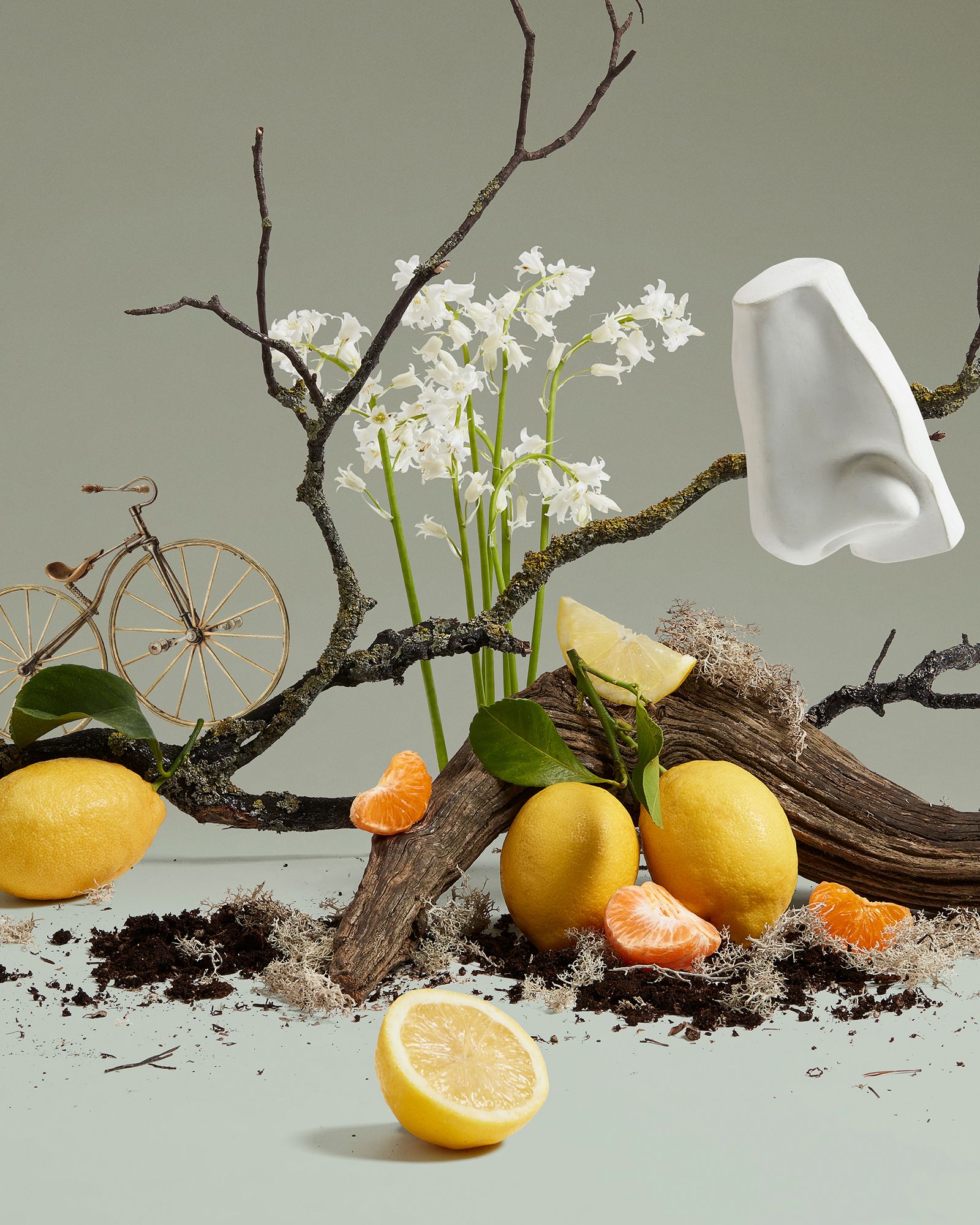 Quercus EdC Spray 100ml