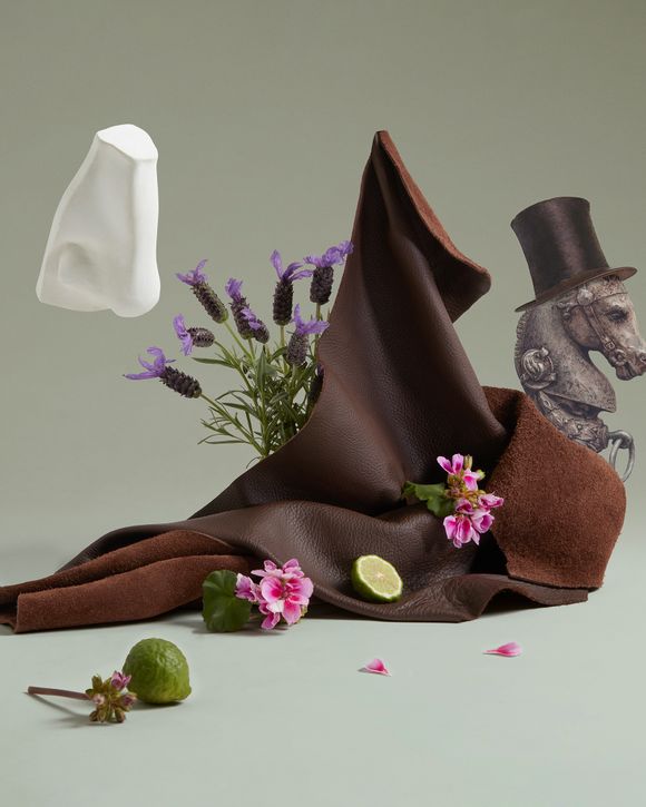 Endymion Concentré EdP Spray 100ml