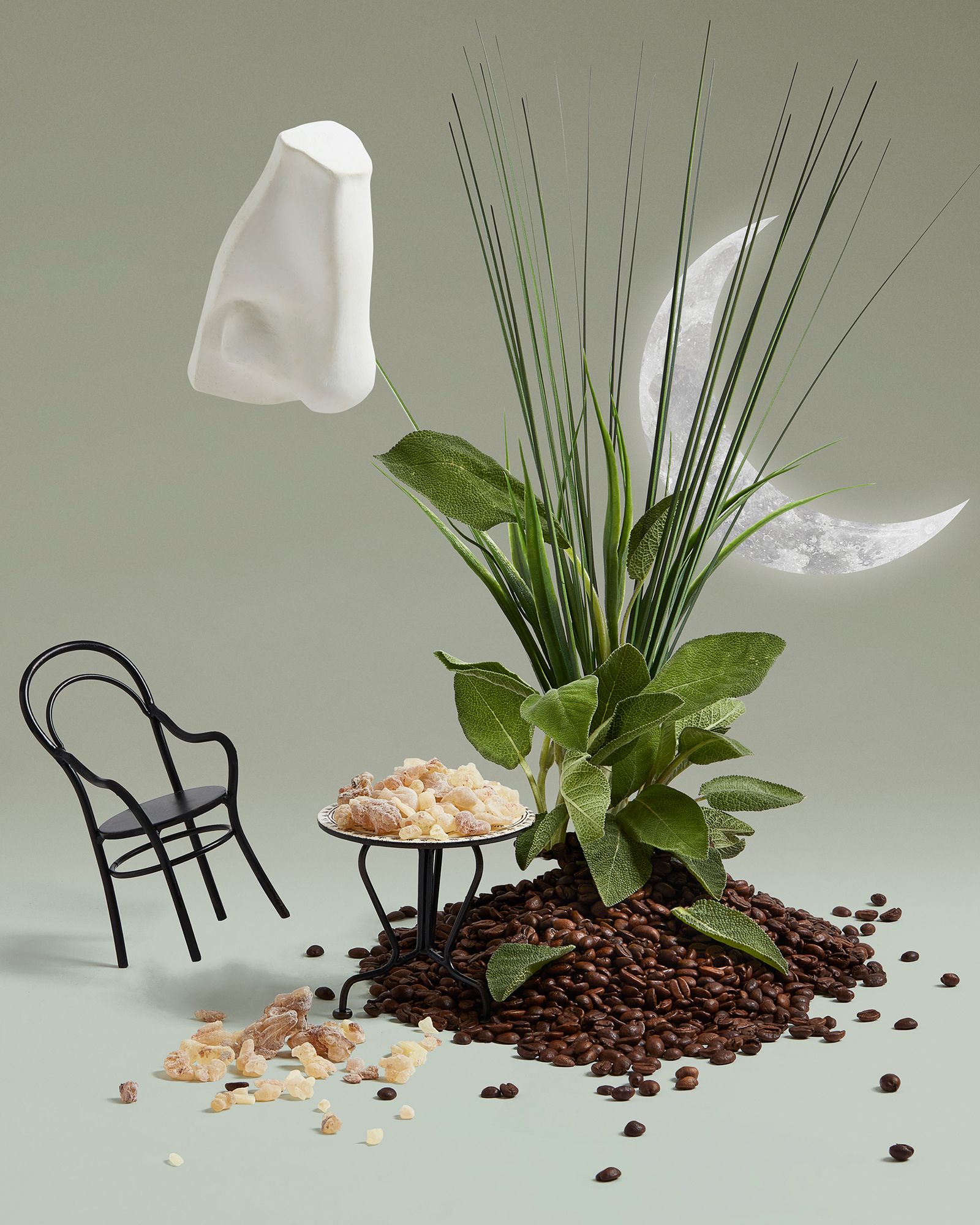 Endymion EdC Spray 100ml