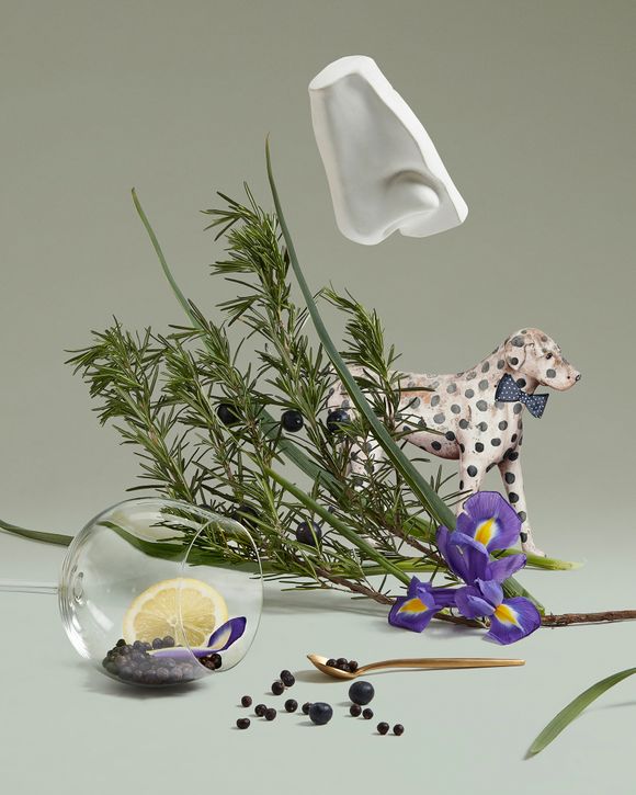 Juniper Sling EdT Spray 100ml