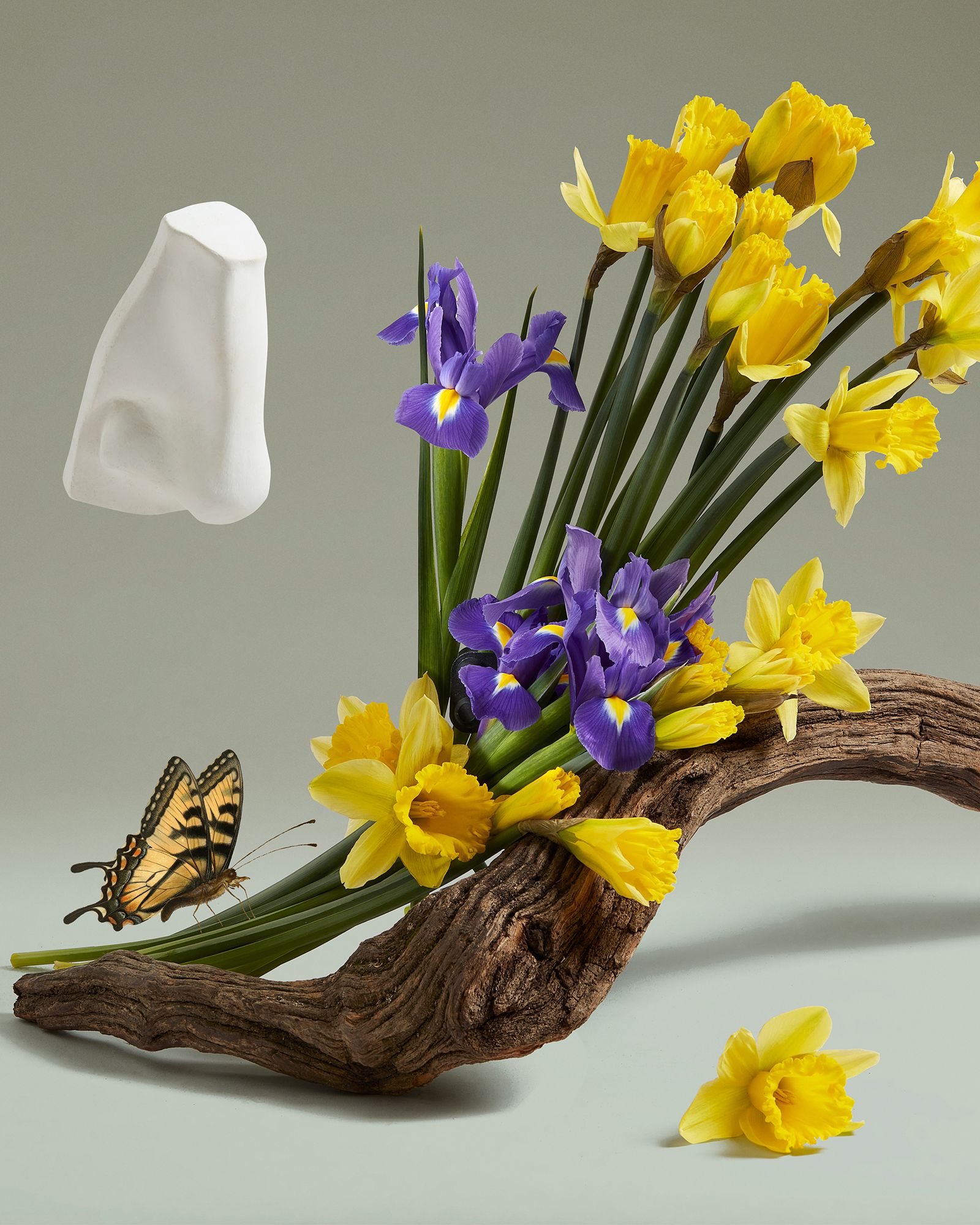 Lady Blanche EdP Spray 75ml