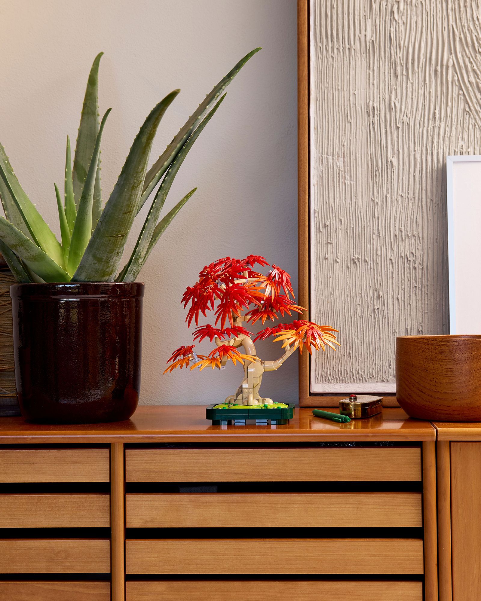 Botanicals Japanese Red Maple Bonsai Tree - 10348