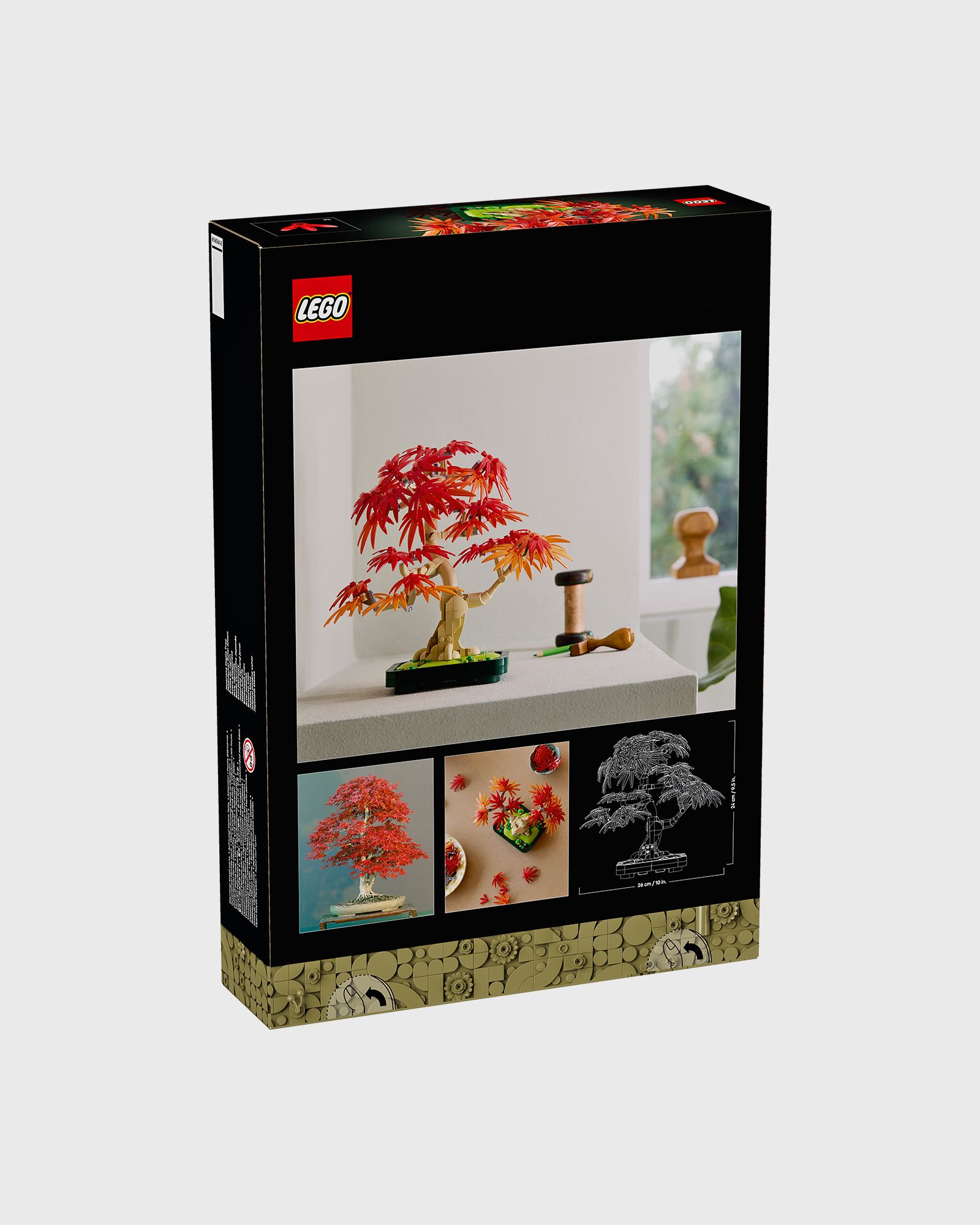 Botanicals Japanese Red Maple Bonsai Tree - 10348