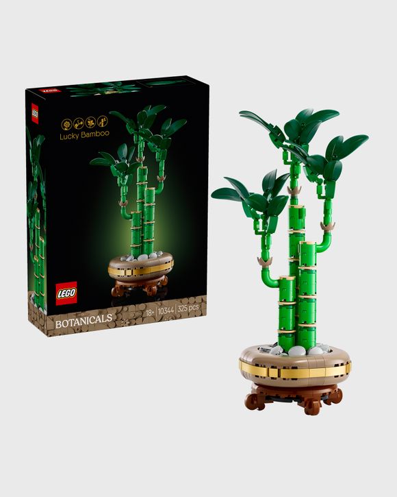 Thumbnail - Lucky Bamboo - 10344