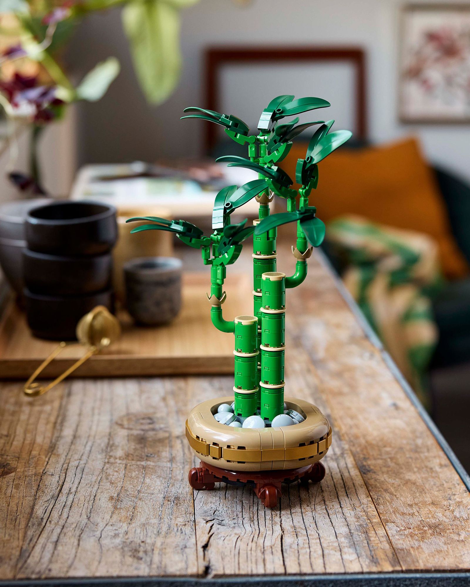 Lucky Bamboo - 10344