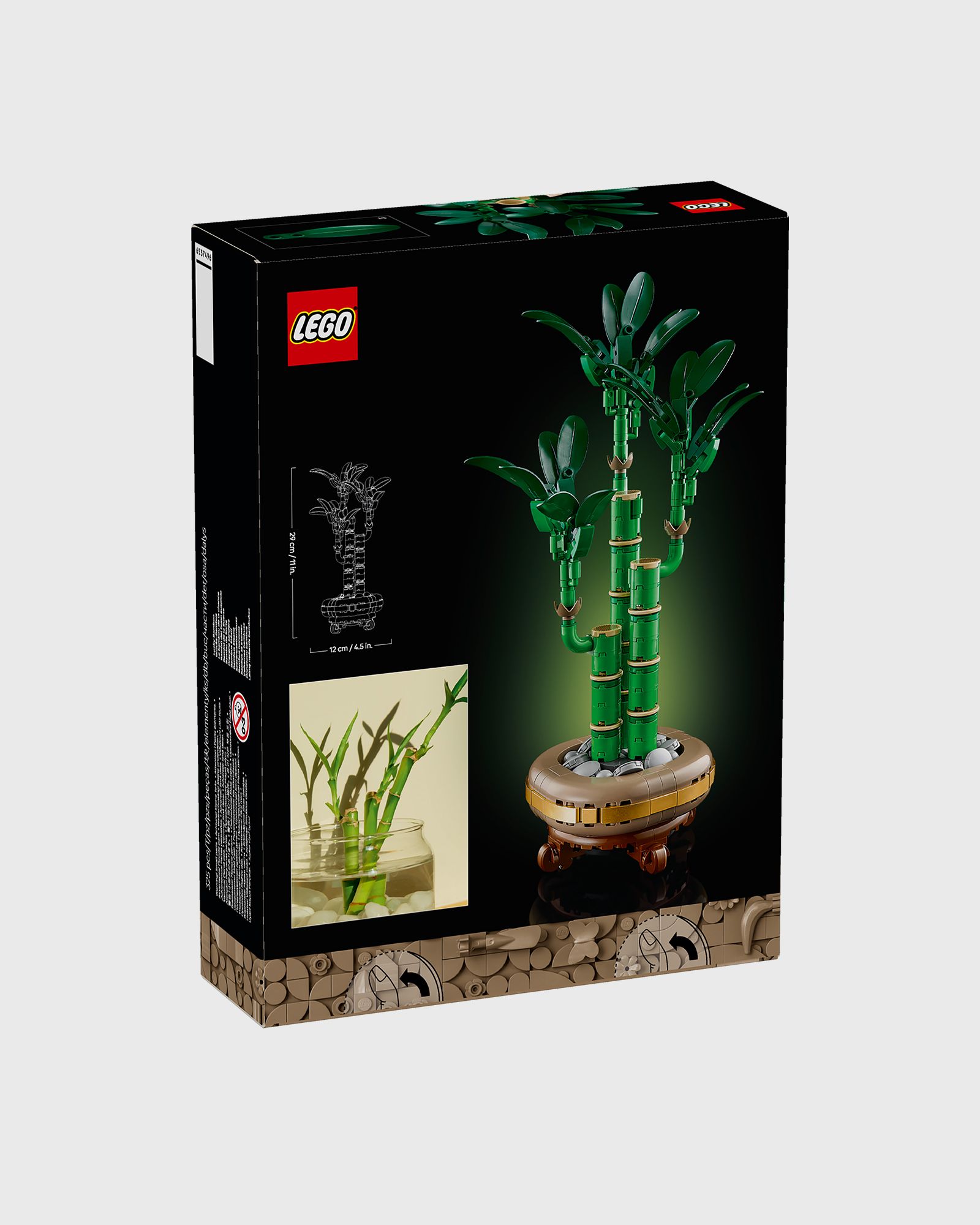 Lucky Bamboo - 10344