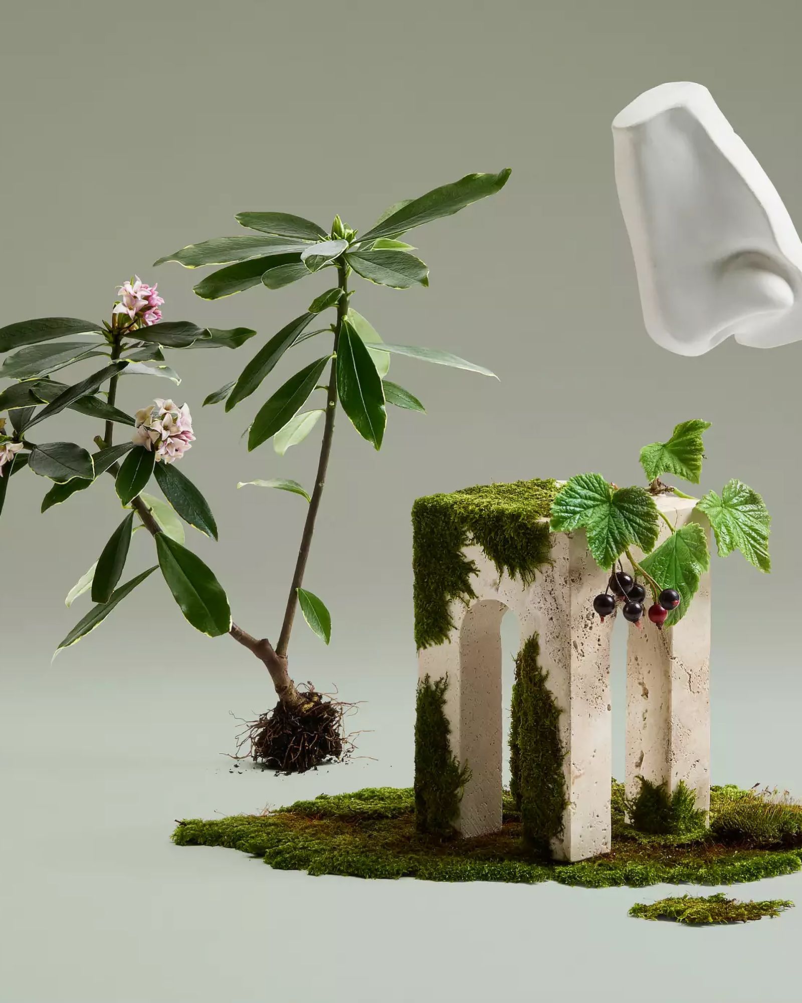 British Tales Daphne Bouquet Eau de Parfum 100ml