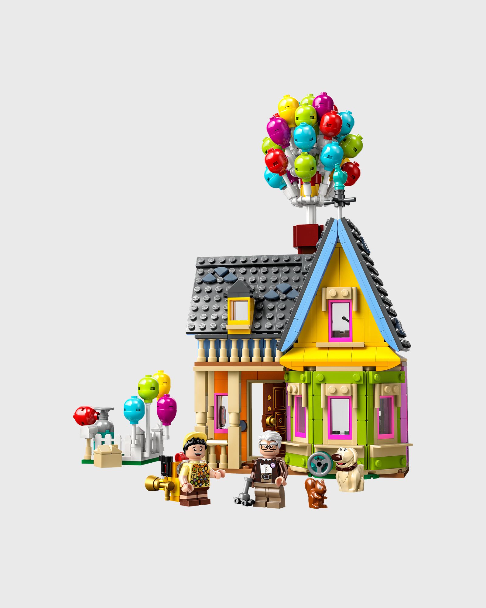 Carls Haus aus „Oben“ - 43217