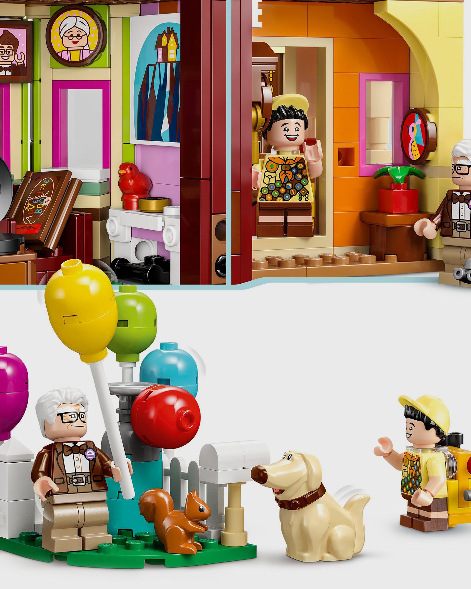 Carls Haus aus „Oben“ - 43217