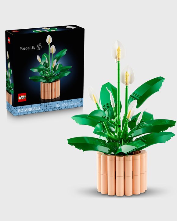 Thumbnail - Peace Lily - 11504