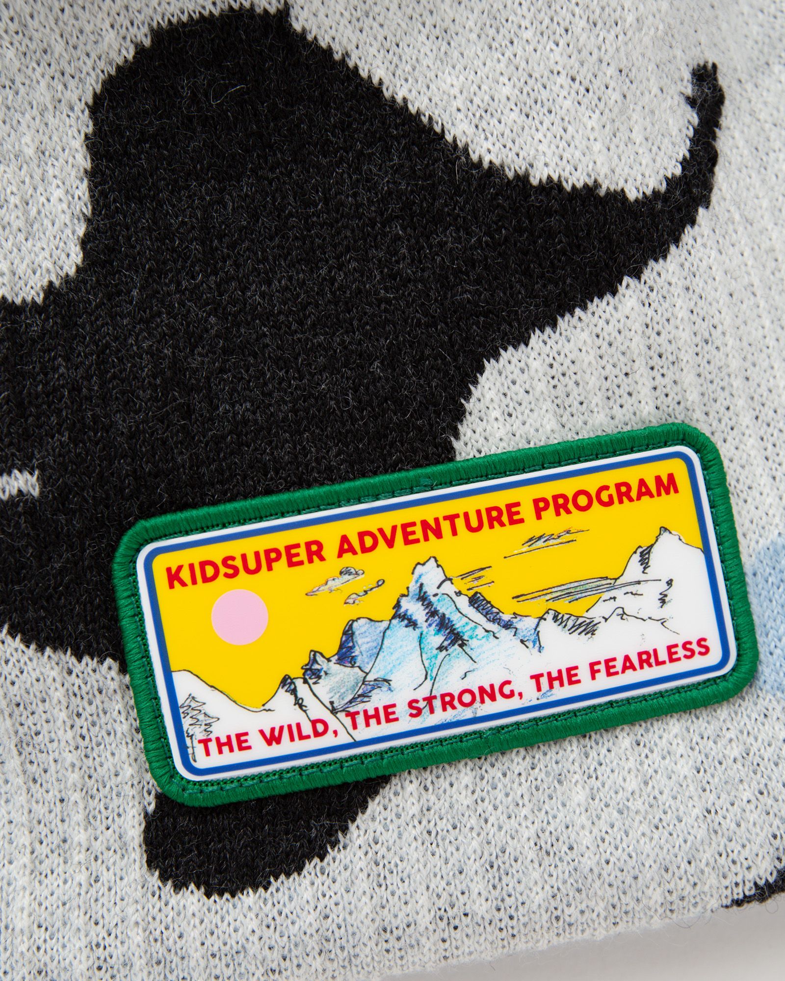 X NBA X KIDSUPER STUDIOS TOQUE BEANIE