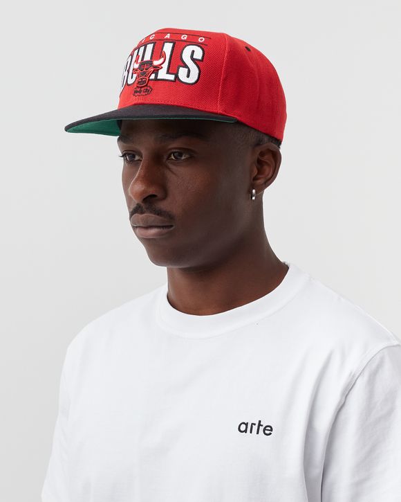 CHICAGO BULLS Billboard Classic Snapback HWC