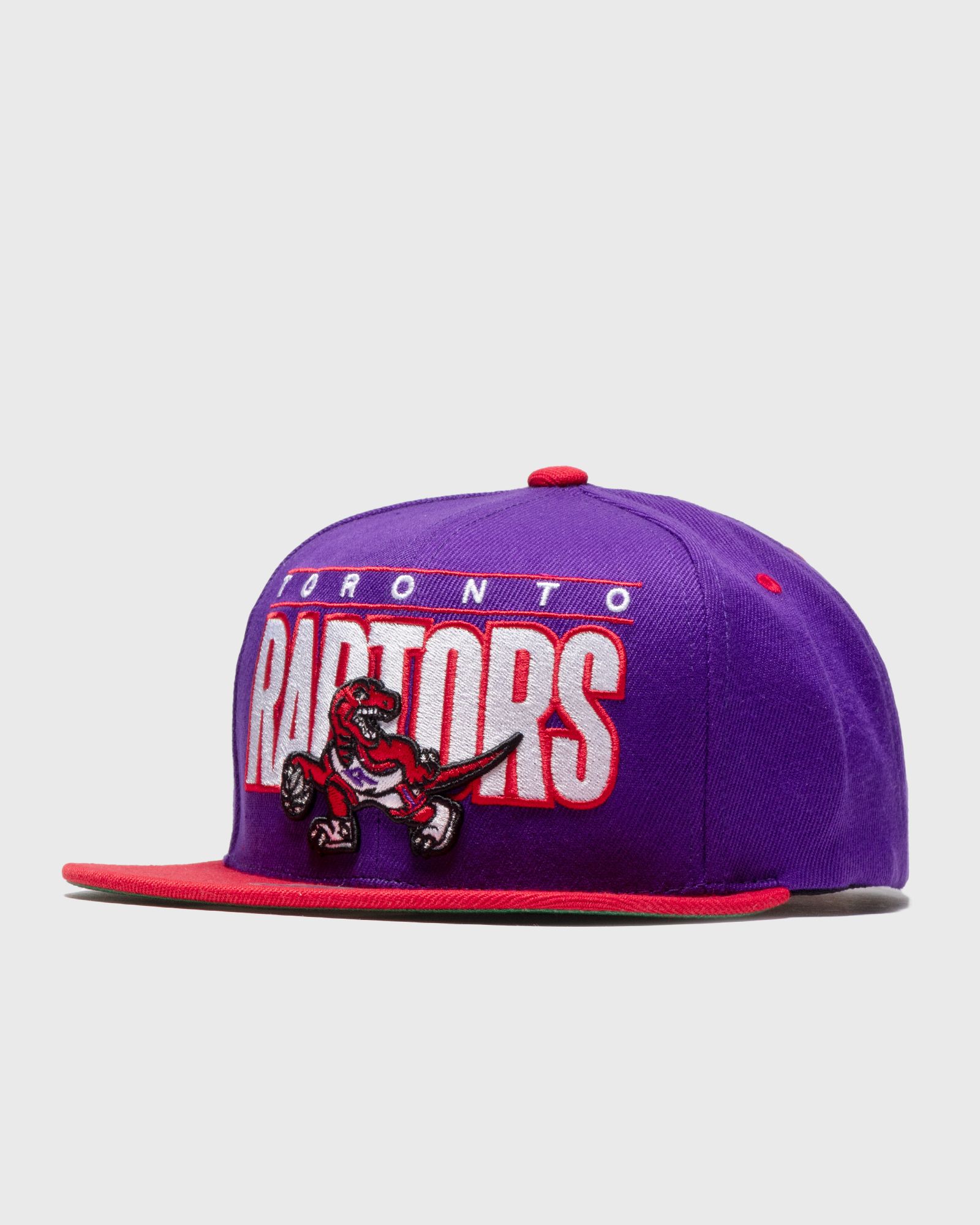 TORONTO RAPTORS Billboard Classic Snapback HWC