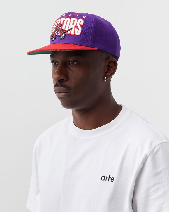 Mitchell and ness hot sale toronto raptors hat