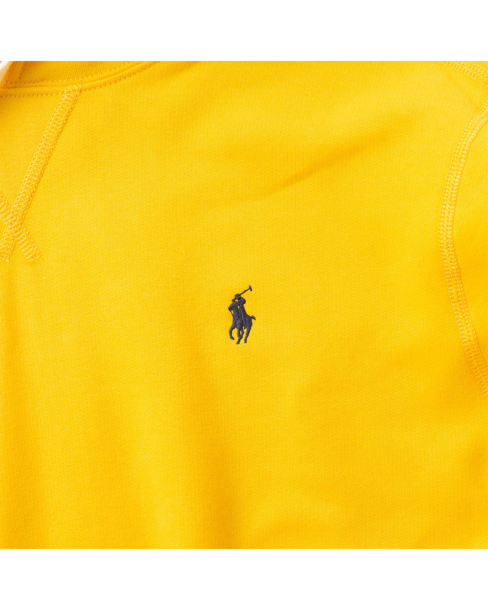 Classic Polo Hoodie