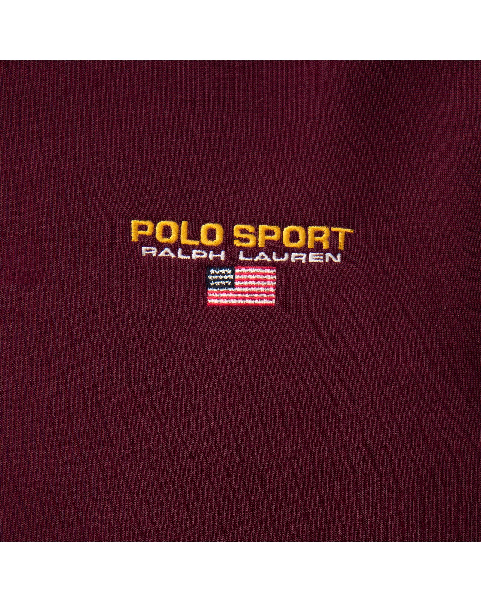 POLO SPORT FLAG HOODIE
