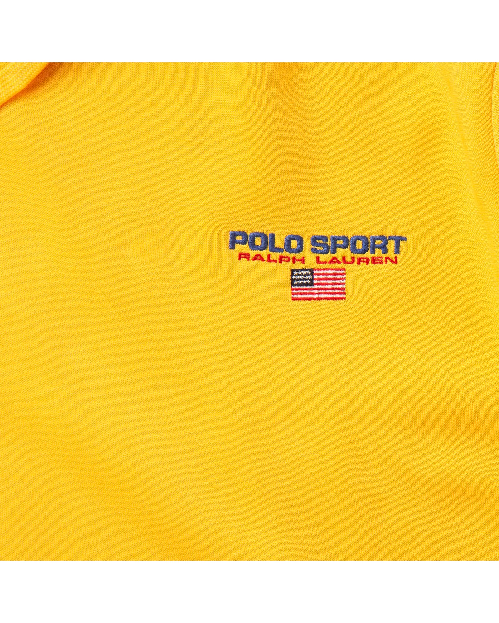 POLO SPORT FLAG HOODIE