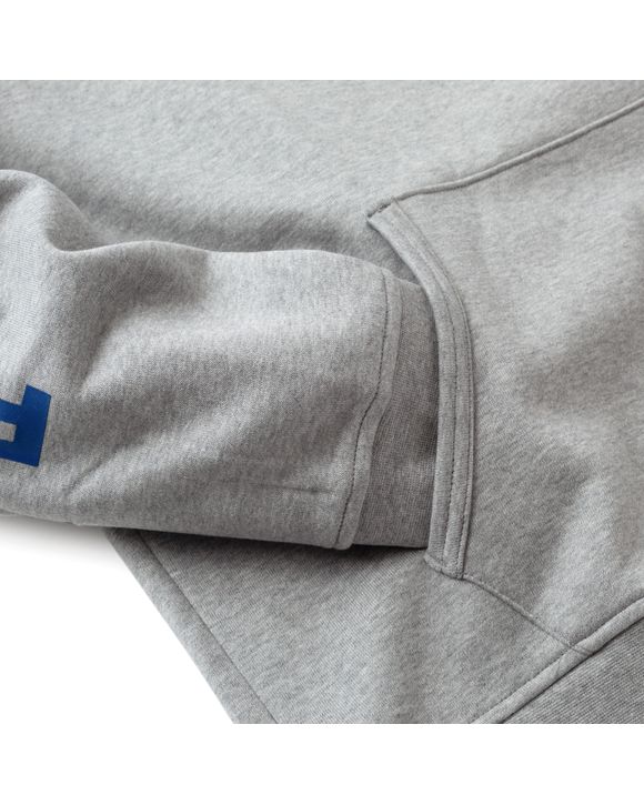 POLO SPORT FLAG HOODIE