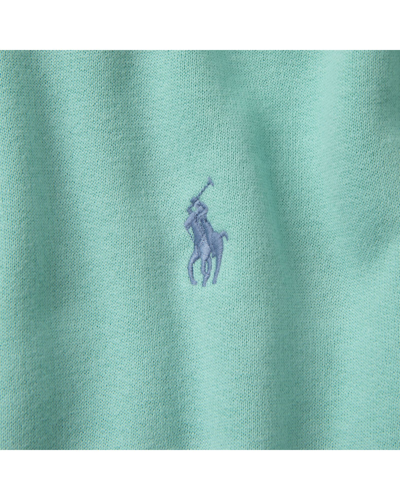 Classic Polo Hoodie